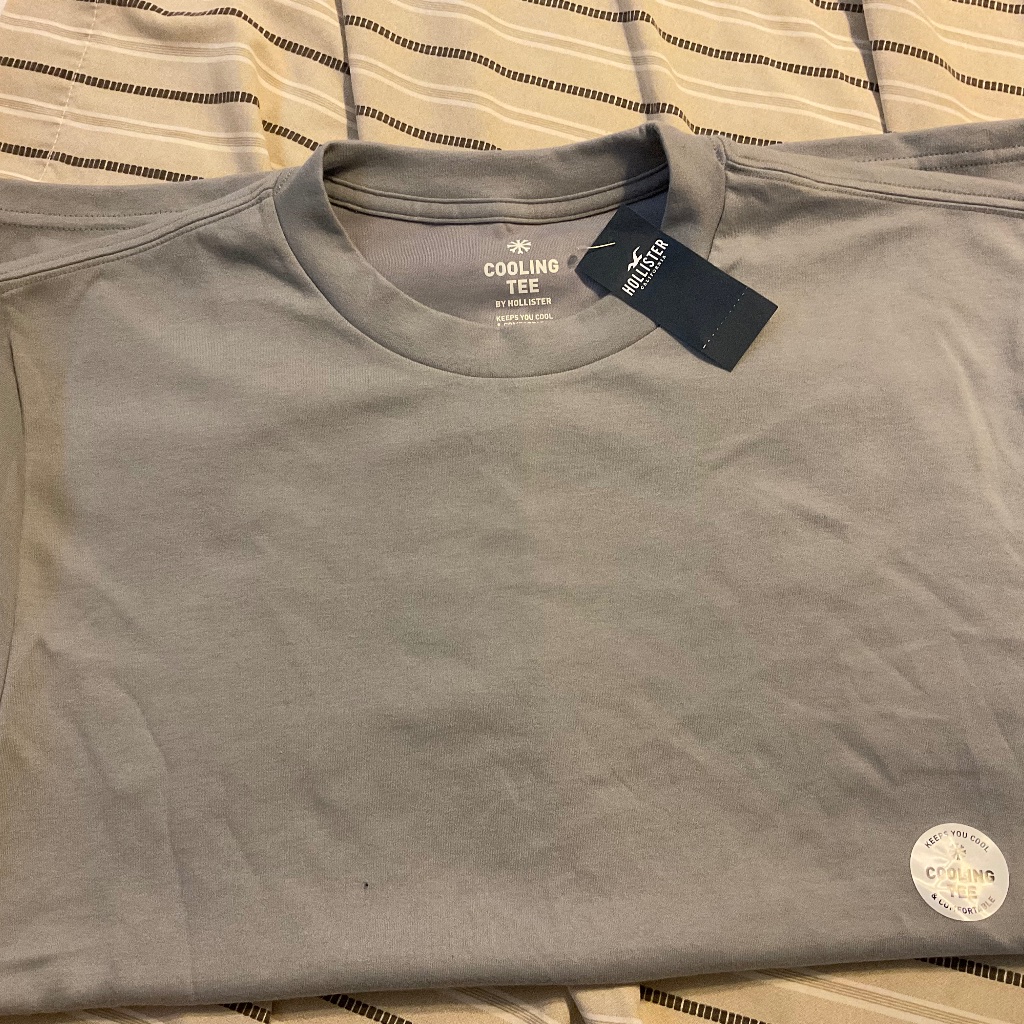 Hollister Medium Gray